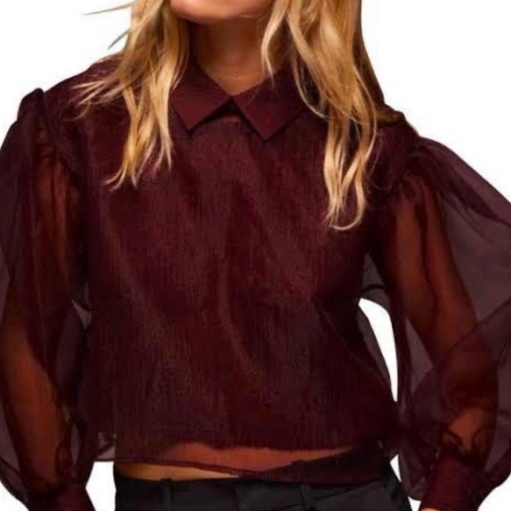 Zara Limited Edition Organza Cropped Top